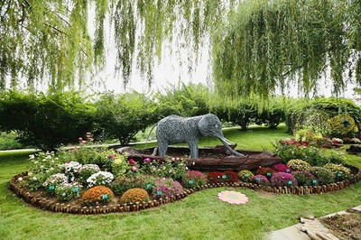 2021年北京秋季新優花卉品種展示推介會開幕